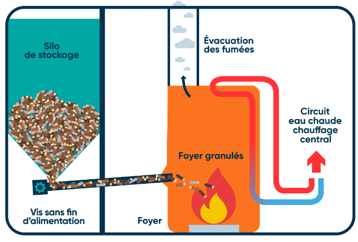 Granule